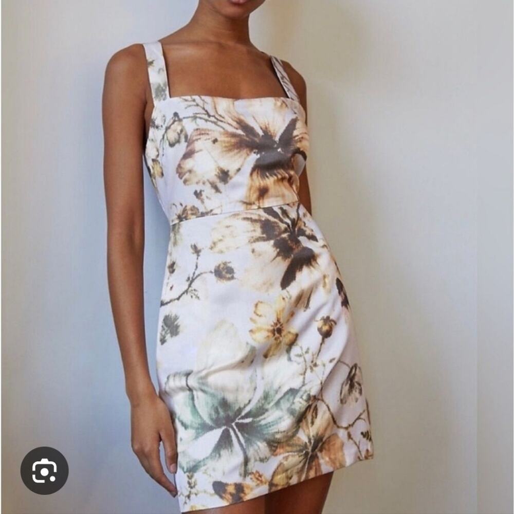 Aritzia Floral Mini Dress - White and Brown